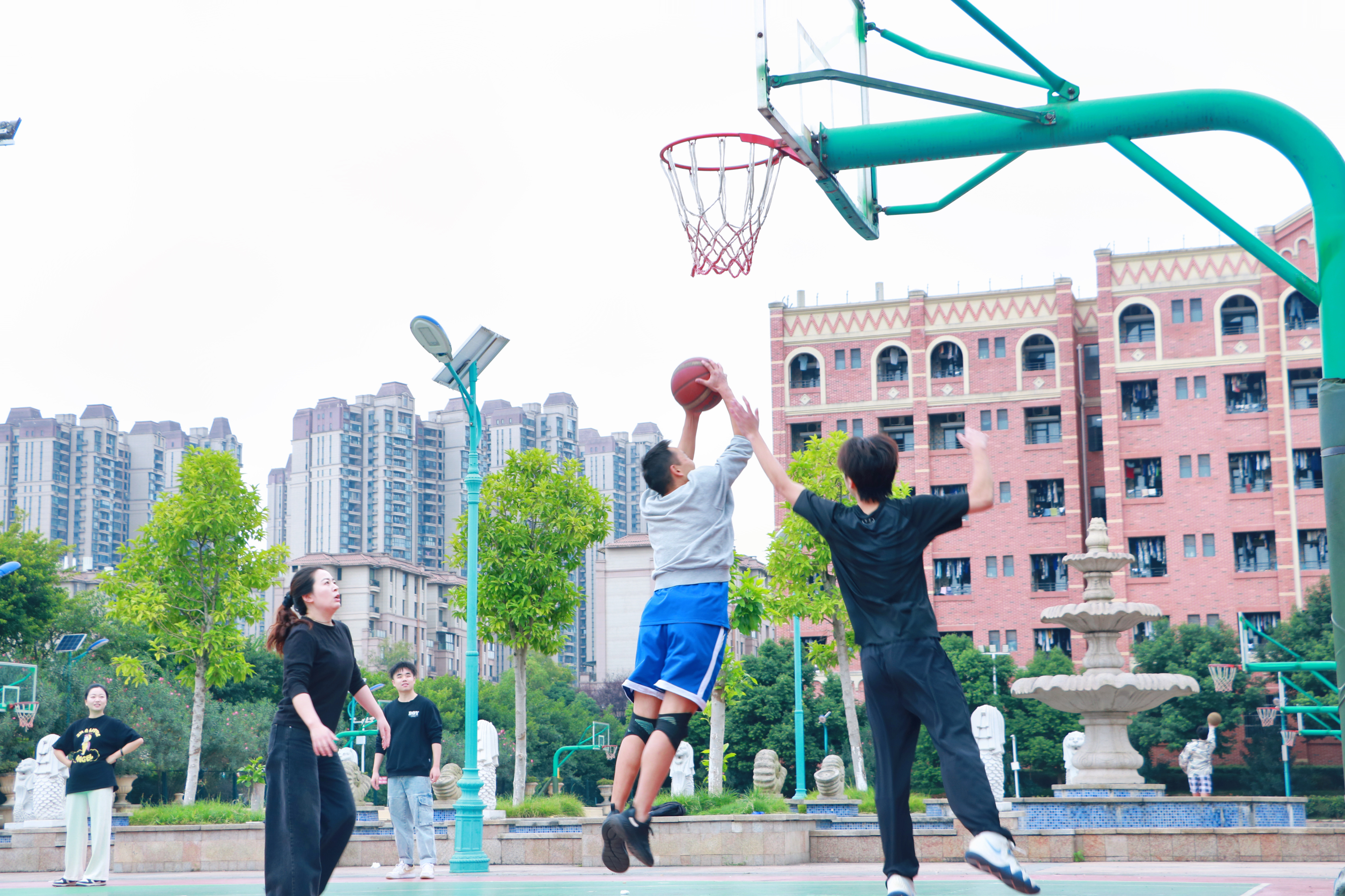 1761987816693414.jpg IMG_3888.JPG